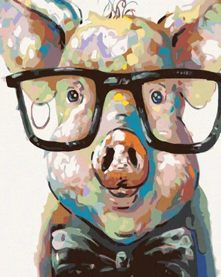 Produktbild von Zuty - Malen nach Zahlen - SCHWEINCHEN MIT BRILLE, 40x50 cm, mit Keilrahmen (bereits gespannt)