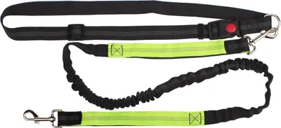 Obrázok produktu pre Runner Buddy 2.0 vodítko na běhání Barva: zelená
