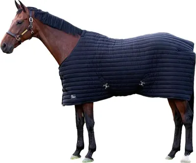 Immagine prodotto di Harry's Horse Powerliner 200 g sotto il tappeto nero 165 cm nero 165 cm