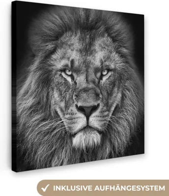 Zdjęcie produktu dla MuchoWow® - Obraz na płótnie - Zwierzęta - Lew - Czarny - Biały - Portret, fototapeta, dekoracja ścienna, obrazy do salonu, 50x50cm