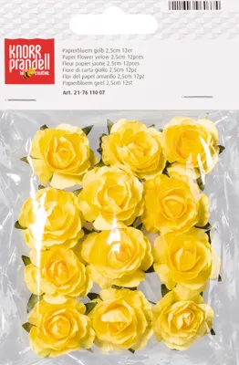 Zdjęcie produktu dla 6XKNORR prandell 217611007 Papierblume ge