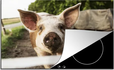 Produktbild von KitchenYeah© Herdabdeckplatte Schwein - Bauernhof - Tier , 81x52cm, Küche Deko, Glaskeramikkochfeld Herdabdeckung, Abdeckplatte fùr Kochfeld