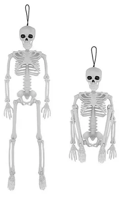 Zdjęcie produktu dla Omgoods - Wiszący szkielet dekoracyjny na Halloween, 40 cm