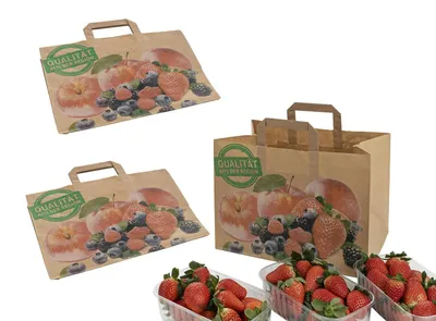 Produktbild von 250x Obsttragetaschen Tragetaschen aus Kraftpapier 90gr. 320+215x240mm