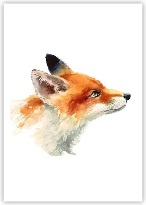 Produktbild von Poster - Poster ohne Rahmen - Fuchs Tier Natur - 70x100 cm - Wand Bild - Wanddeko - Wandbilder - Kunstposter - Wandposter - Bilder - Kunstdruck - Wanddekoration - Wandbild - P2XPA70x100-3904