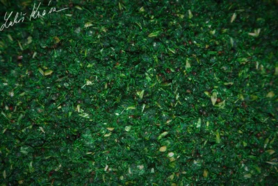 Obrázek produktu pro LK Baits IQ Method Mix Amur 1,5kg