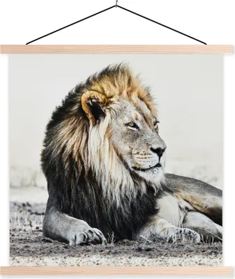 Produktbild von MuchoWow® Textilposter Tiere - Porträt - Farbe 40x40 cm mit holzfarbenen Rahmen - Posterleiste