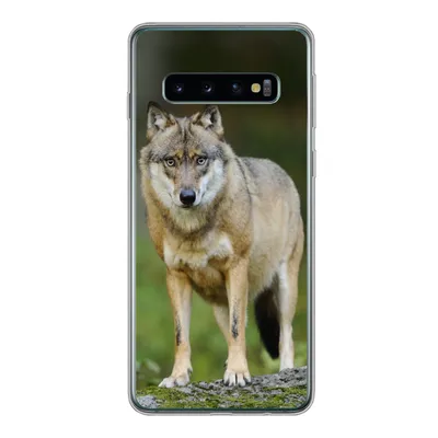 Produktbild von MuchoWow® Handyhülle Schutzhülle Hülle für Samsung Galaxy S10 Wolf - Asien - Pflanzen Silikon Softcase Handy Hülle - Handytasche