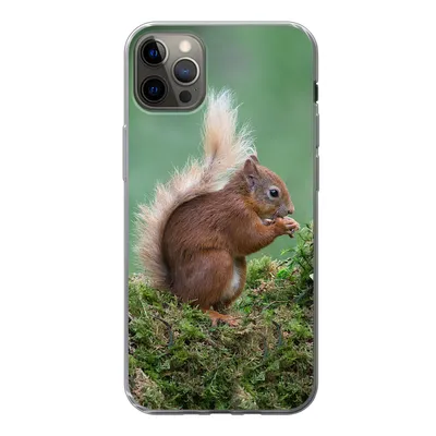 Produktbild von MuchoWow® Handyhülle Schutzhülle Hülle für iPhone 13 Pro Max Eichhörnchen - Wald - Moos Silikon Softcase Handy Hülle - Mobiltelefon