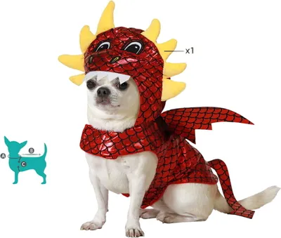 Immagine prodotto di Costume da cane taglia L drago