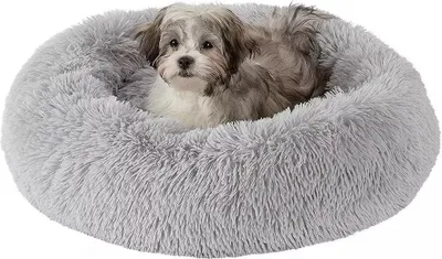 A small dog is resting in a round, fluffy gray pet bed.