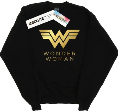 Produktbild von DC Comics - "84" Sweatshirt für Herren BI48036 (XL) (Schwarz)