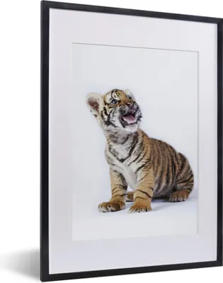 Produktbild von MuchoWow® MuchoWow® Gerahmtes Poster Tiger - Jungtier - Tier 30x40 cm - Poster mit zchwarzem Bilderrahmen - Wandposter Schlafzimmer