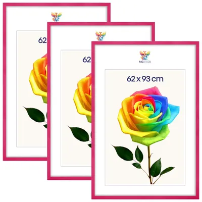 Produktbild von MG Design 3er Set Bilderrahmen Rosa 62x93 cm - Posterrahmen Echtholz mit Acrylglas, verstärkte Wandaufhängung, hoch/quer