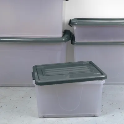 Image de Boite De Rangement Plastique 35l2