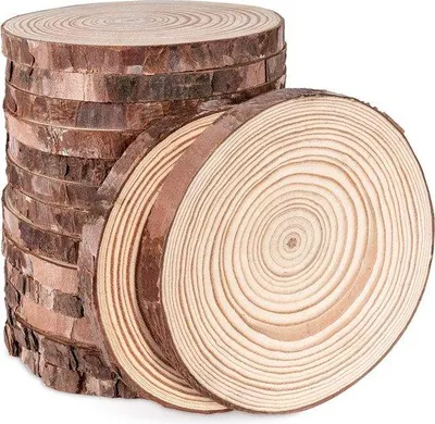 Obrázok produktu pre Famanu drevené plátky, 16 kusov – priemer 11–12 cm, prírodné drevo, okrúhle, hrúbka cca 10 mm