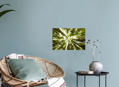 Produktbild von MuchoWow® - Wierderverwendbar - Selbstklebend