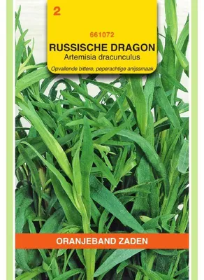 Imagen del producto de Oranjeband: Semillas de estragón ruso, hierbas aromáticas - 1 paquete de semillas