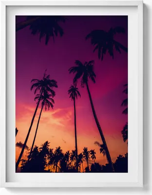 Produktbild von Palmen bei Sonnenuntergang– Wandbild mit Rahmen – Gerahmtes Bild  – Wanddekoration – 60x80 cm –  Weiß Rahmen