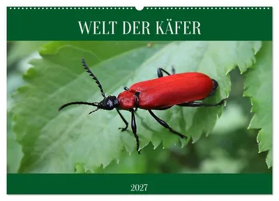 Produktbild von WELT DER KÄFER (Wandkalender 2027 DIN A2 quer), CALVENDO Monatskalender