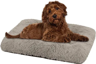 Produktbild von Domarex Flauschiges Hundebett, Katzenbett und Weiches für Hunde und Katzen - 100x70 cm Hundekissen, Bequemes und Pflegeleichtes - beige