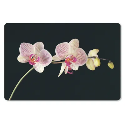Produktbild von MuchoWow® Schreibtischunterlage Orchidee - Blumen - Schwarz - Rosa - Knöpfe 60x40 cm - XXL Mauspad - Großes Mauspad