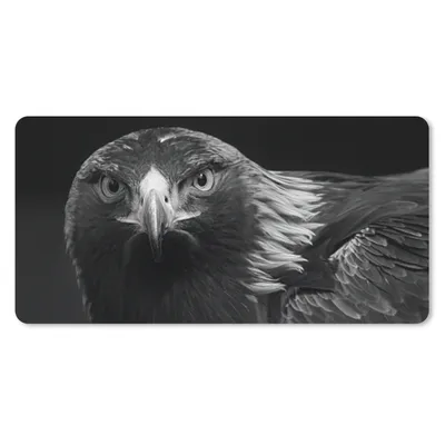 Produktbild von MuchoWow® Schreibtischunterlage Bussard - Vogel - Tiere - Schwarz - Weiß 80x40 cm - XXL Mauspad - Gaming Mauspad
