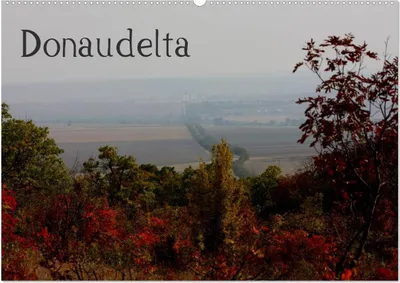 Produktbild von Donaudelta (Wandkalender 2025 DIN A2 quer), CALVENDO Monatskalender