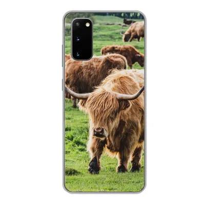 Produktbild von MuchoWow® Handyhülle Schutzhülle Hülle für Samsung Galaxy S20 Schottische Highlander - Tiere - Gras Silikon Softcase Handy Hülle - Bild