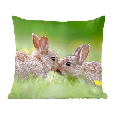 Produktbild von MuchoWow® Zierkissen Sofakissen Wohnzimmer Dekokissen 50x50 cm Kaninchen - Baby - Gras - Komfort - Sofakissen