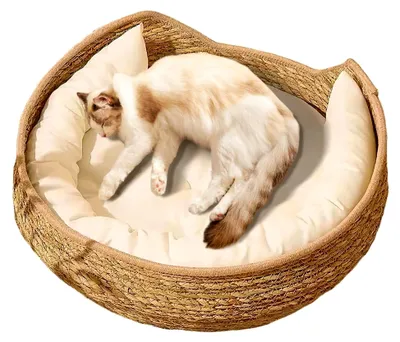 Produktbild von Katzenkorb Bett, 35x35x13cm Handgewebter Katzenkorb Aus Baumwollseil, Für Alle Jahreszeiten Geflochtenes Möbel Zum Schlafen, Ruhen Und Kratzen