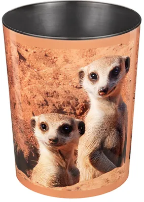 Image de Läufer 26570 Corbeille à papier - 13 L, Suricate(P)