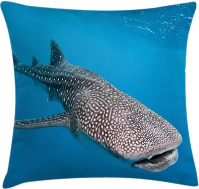Produktbild von ABAKUHAUS Meerestiere Kissenbezug, Walhai Predators Hunter Klares Wasser Unter Dem Meer Bild Druck, 60 x 60 cm, Blau