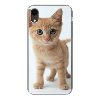 Produktbild von MuchoWow® Handyhülle Schutzhülle Hülle für iPhone XR Katze - Rot - Kätzchen - Mädchen - Kinder - Jungen - Kind Silikon Softcase Handy Hülle - Schutzdeckel