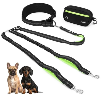 Joggingleine für 2 Hunde, 5-15 kg, mit Bauchgurt