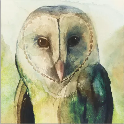 Produktbild von ARTland Wandbild Alu für Innen & Outdoor Eule I Größe: 40x40 cm