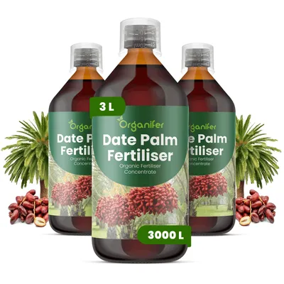Produktbild von Dattelpalmen Flüssigdünger 3x1L – 2-1-8 NPK – Flüssigdünger Für Palmen – Für Blätter & Kräftiges Wachstum – Fördert Wurzeln & Vitalität – Organifer