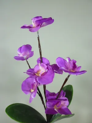 Produktbild von Blütenzweig ORCHIDEE beleuchtet Dekozweig Dekoleuchte Batterie betrieben