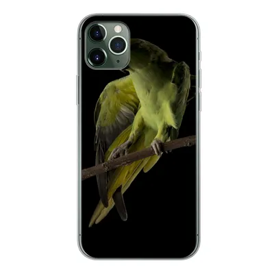 Produktbild von MuchoWow® Handyhülle Schutzhülle Hülle für iPhone 11 Pro Max Papagei - Vogel - Zweig Silikon Softcase Handy Hülle