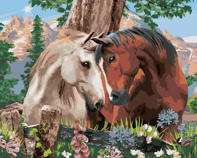 Produktbild von Zuty - Malen nach Zahlen - WENN SICH EIN PFERD VERLIEBT (HOWARD ROBINSON), 40x50 cm, ohne Keilrahmen