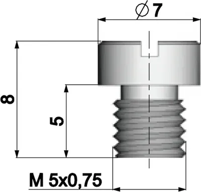 Produktbild von Vergaser Hauptdüse Polini 5mm für Dellorto Vergaser - 85