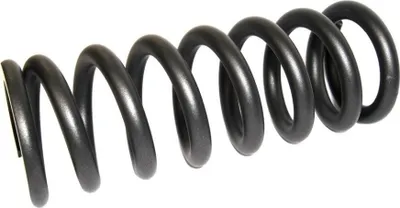 Image de Ressort RockShox 300Lb 216/222X70 Gris