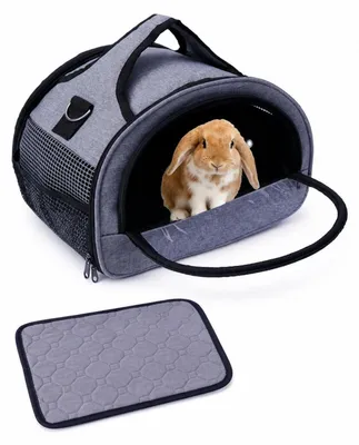 Image de Cage de transport pour petits animaux, modèle M, couleur grise, dimensions : 41 x 25 x 25 cm