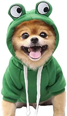 Image de Pull en polaire pour chien, costume d'Halloween pour chien, forme de grenouille rigolote, sweat à capuche pour chien, vêtements pour chien (M)