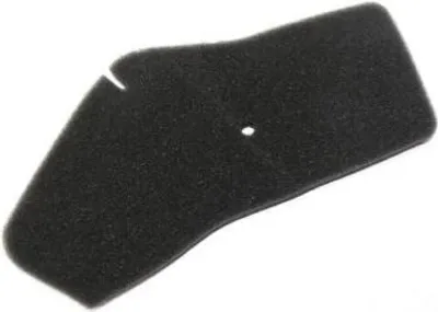 Zdjęcie produktu dla Filtr powietrza do HONDA SFX 50 Shadow 96-00 RMS10 060 0230