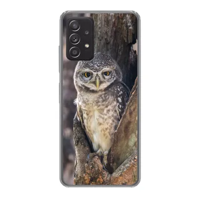 Produktbild von MuchoWow® Handyhülle Schutzhülle Hülle für Samsung Galaxy A53 5G Eule - Baum - Wald Silikon Softcase Handy Hülle - Schutzabdeckung