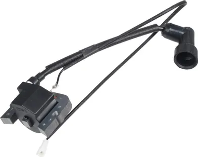 Zdjęcie produktu dla Moduł zapłonowy Loncin LC1P96F CZĘŚĆ ORYGINALNA 270920339-0001