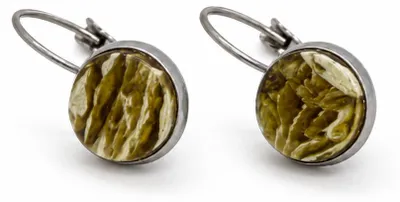 Produktbild von BEYSTON Brisur-Ohrhänger mit Ostseebernstein 10 mm, in tiefem Oliv, Edelstahl in Naturfarbe, KI-generiertes Bild
