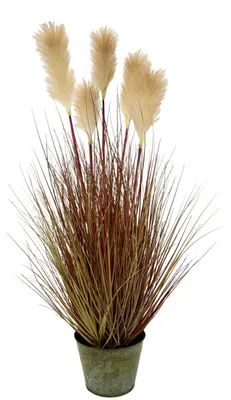 Produktbild von Pampasgras im Topf Federgras Ufergras Seidenblumen Grasbusch Dekogras Gras Kunst
