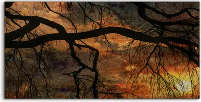 Produktbild von Coloray Acrylbild 100x50  Wandbild Acrylbilder Kunstdruck Trauerweide Sonnenuntergang